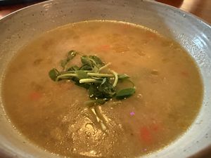   at Soft Medicine Sanctuary in Sebastopol