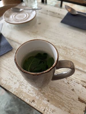   at Café Anoa in Ulm