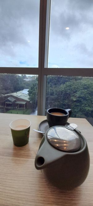 Bit rainy today but plenty of trees thru the big windows at Table 26 - Indooroopilly in Indooroopilly