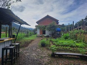 That is it ;) at Bolaven Paradise in Thateng