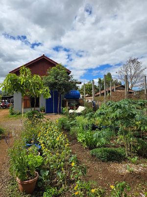  at Bolaven Paradise in Thateng