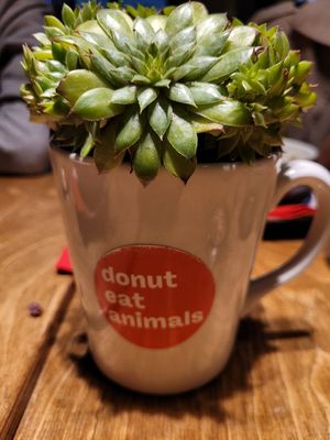  at Mom's - Vegan Cooking in Berlin