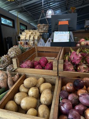   at Jan Jan Healthy Store in Koh Phangan