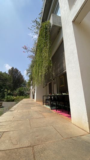 Back seating   at Goyo - கோயோ in Auroville