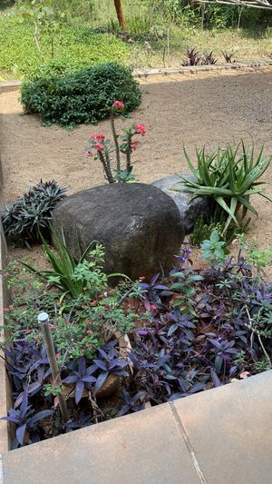 Front entrance decor  at Goyo - கோயோ in Auroville