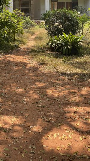Path to front entrance   at Goyo - கோயோ in Auroville