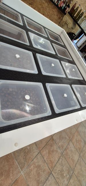  at G & G Golden Fruits in Rhodes