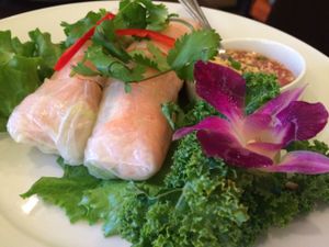 spring rolls  at Thai House in Miami Beach
