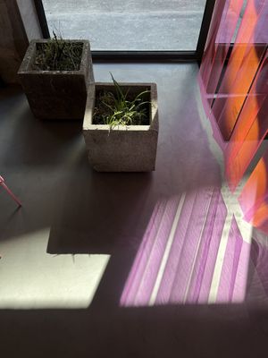   at Kauka in Bratislava