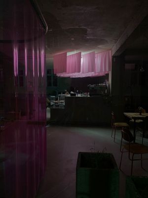  at Kauka in Bratislava