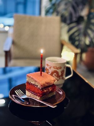   at Kauka in Bratislava