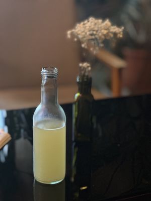   at Kauka in Bratislava