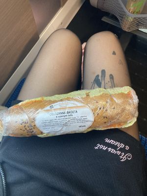 Baguette with smoked tofu  at BioPoint in Prague