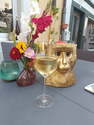 Wein at WeinGUT - Wein & Tapas in Neustadt