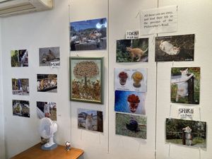 A wall of photos dedicated to local stray cats  at Vegan Cafe in Kyoto
