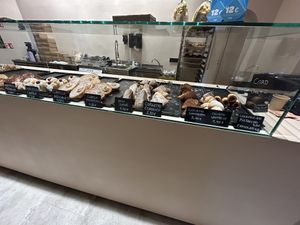 Selection of today #Veganuary at The Sanctuary - PBerg in Berlin