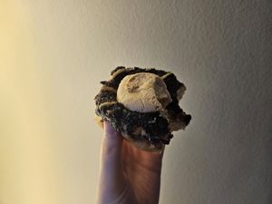 Brownie cheesecake at Brammibals Donuts - Europlatz in Berlin