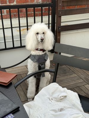 So beautiful I had to take a photo!   at RoofTop in Eureka