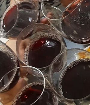 Vegan non-alcoholic red wine at Agnista Restaurant - Tara Center in Ulaanbaatar