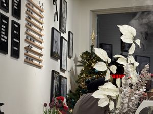 inside #Veganuary at Coffee & Cakes - Warmoesstraat in Amsterdam