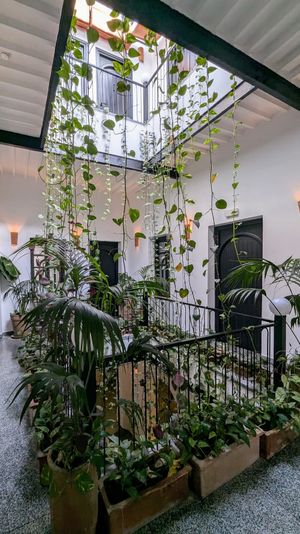  at NBTAHOUSE in Tangier