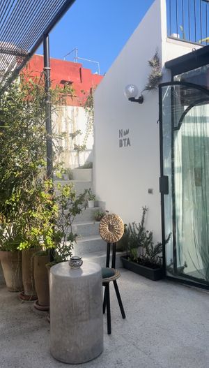 All new from 2024  at NBTAHOUSE in Tangier