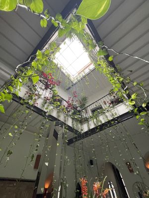   at NBTAHOUSE in Tangier