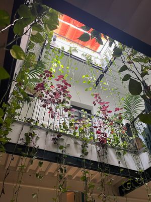  at NBTAHOUSE in Tangier