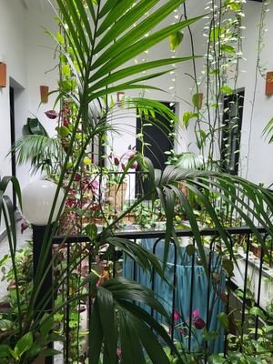Plant filled courtyard at NBTAHOUSE in Tangier