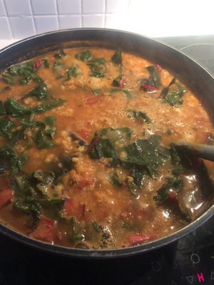 Red lentil soup w rainbow chard  at Lovely Vegan Homestay in Newstead