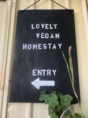   at Lovely Vegan Homestay in Newstead
