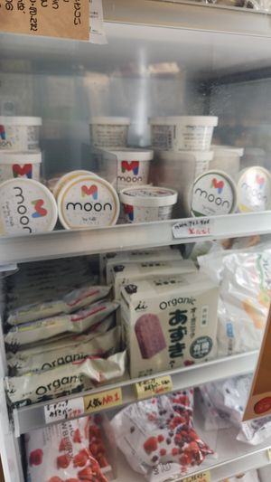 Vegan Ice-cream Moon at Organic Plaza - Fujii Daimaru Store in Kyoto