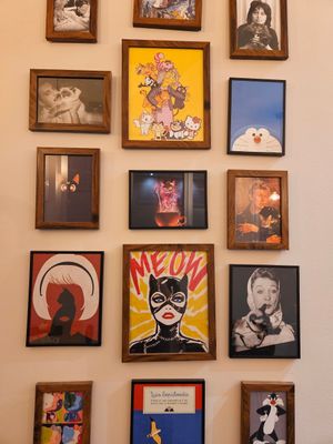  at Lə gattarə in Bergamo