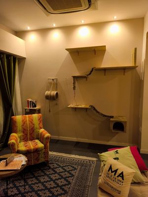 Playground 🙃 at Lə gattarə in Bergamo