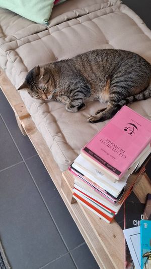  at Lə gattarə in Bergamo