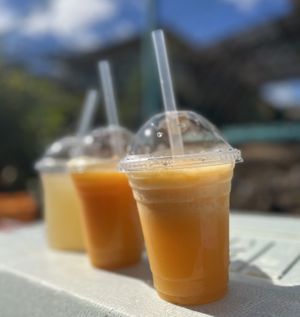 This week's special drinks are: local Satsuma mandarin smoothie, local persimmon smoothie, and organic honey lemonade!  at KUMANO POWER HONGU in Tanabe