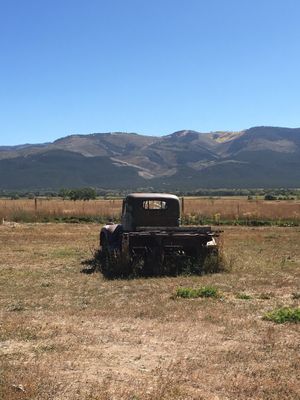 View  at Farmhouse Cafe and Bakery in El Prado