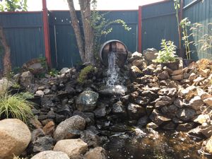 Beautiful scenery for a beautiful, relaxing place at Mike's Cafe and Wine Bar in San Juan Island
