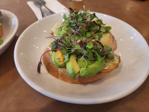 Avocado toast at Plate 21 in Toledo