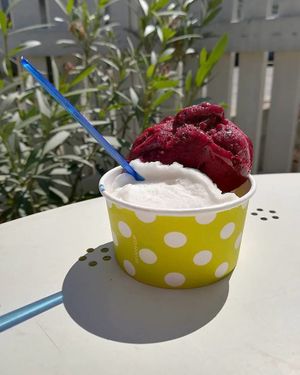 Vegan ice cream at Loving Hut in Maribor