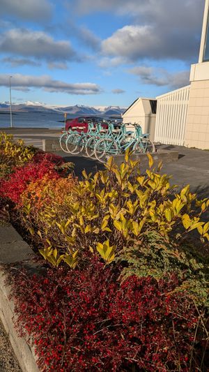 Outside view at Ósinn Restaurant at Hotel Höfn in Hofn I Hornafirdi