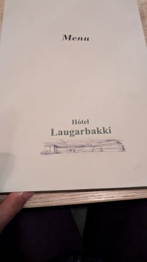 Menu cover at Restaurant BAKKI in Laugarbakki
