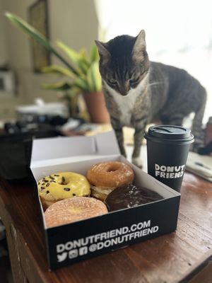 From top left: Compassion Fruit, Strawberry Lab, The Jelly Sound, Custard Front Drive, and hot cocoa    at Donut Friend - Highland Park in Los Angeles