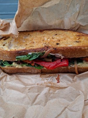 Panini at Little Local in Esperance