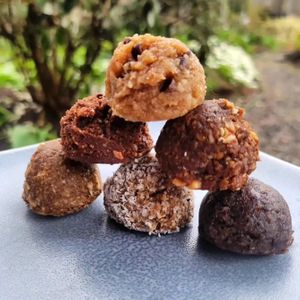 Power Bites at Elysium Treats in Corvallis