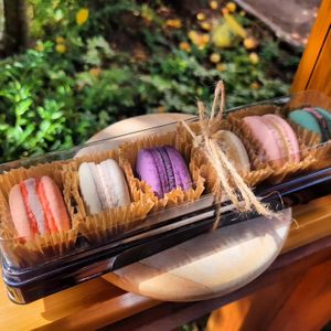 Macarons at Elysium Treats in Corvallis