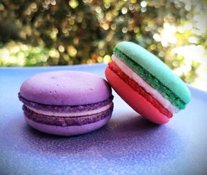 Macarons at Elysium Treats in Corvallis