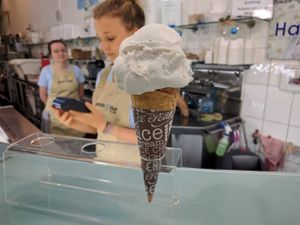 vanilla bean   at Gelato Blue in Newtown