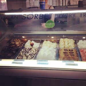 the vegan selection! at Gelato Blue in Newtown