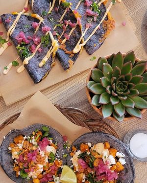  at Nopal in Vlissingen